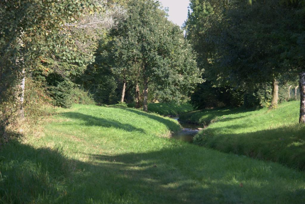 Land-Hotel Zum Schwan, Garni Weilerswist-Metternich, 3 E-Ladestationen, Naehe Phantasialand, Palmenparadies Euskirchen Екстериор снимка